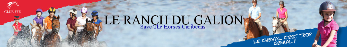 Ranch du Galion/Save the Horses Caribeens - Saint-Martin